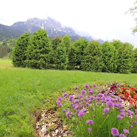 Dahlia Apartment Kalberhoni