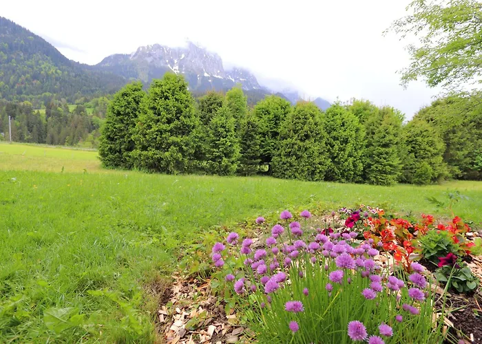 Dahlia Apartment Kalberhoni